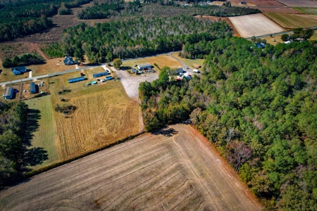 Over 12 Acres For Sale Near Saint Pauls in Robeson County NC - image 6