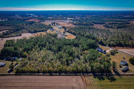 Over 12 Acres For Sale Near Saint Pauls in Robeson County NC - image 2