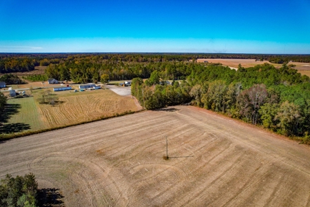 Over 12 Acres For Sale Near Saint Pauls in Robeson County NC - image 10