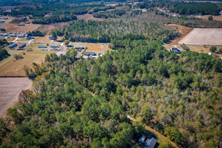Over 12 Acres For Sale Near Saint Pauls in Robeson County NC - image 4