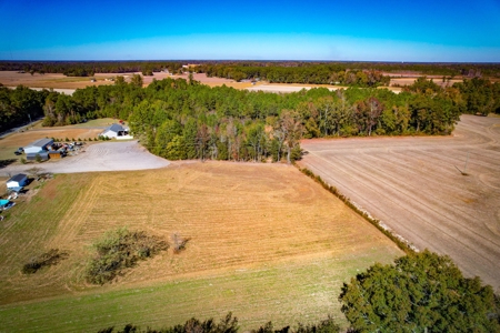 Over 12 Acres For Sale Near Saint Pauls in Robeson County NC - image 9