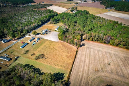 Over 12 Acres For Sale Near Saint Pauls in Robeson County NC - image 11