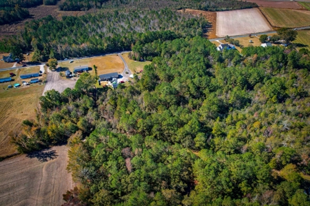 Over 12 Acres For Sale Near Saint Pauls in Robeson County NC - image 5