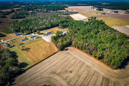 Over 12 Acres For Sale Near Saint Pauls in Robeson County NC - image 7