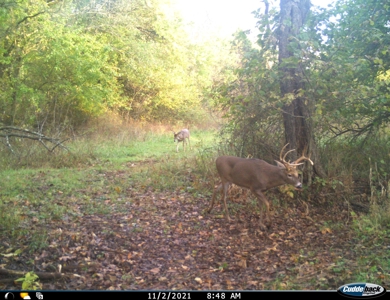 Land for Sale Stockton MO - image 20