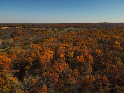 Land for Sale Stockton MO - image 19