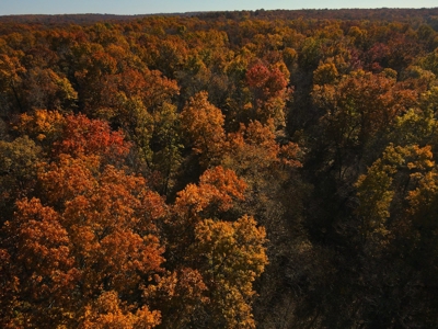Land for Sale Stockton MO - image 15