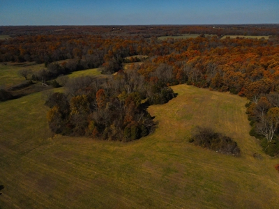 Land for Sale Stockton MO - image 8