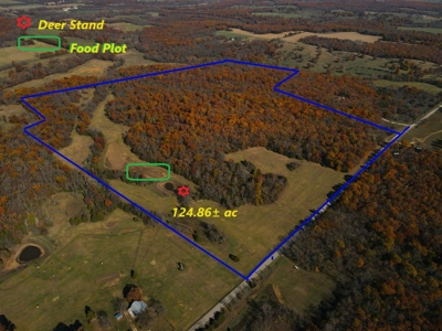 Land for Sale Stockton MO - image 1