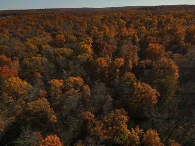 Land for Sale Stockton MO - image 12