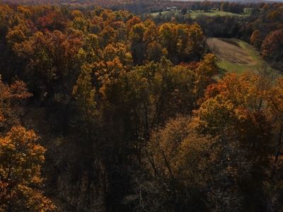 Land for Sale Stockton MO - image 14
