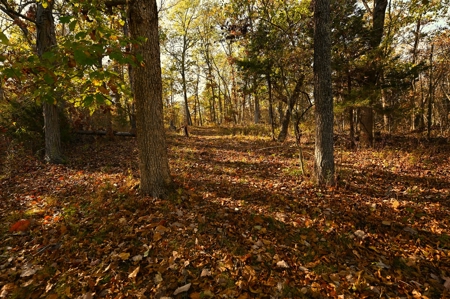 Land for Sale Stockton MO - image 45