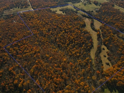 Land for Sale Stockton MO - image 10