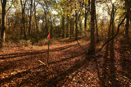 Land for Sale Stockton MO - image 44