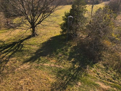 Land for Sale Stockton MO - image 3
