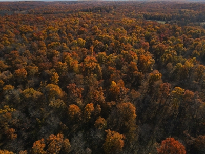 Land for Sale Stockton MO - image 11