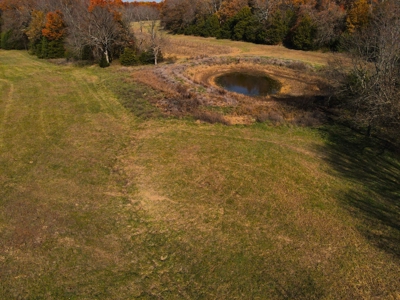 Land for Sale Stockton MO - image 2