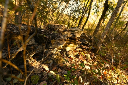 Land for Sale Stockton MO - image 47