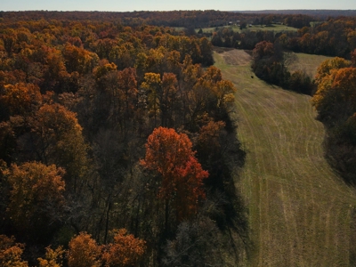 Land for Sale Stockton MO - image 13