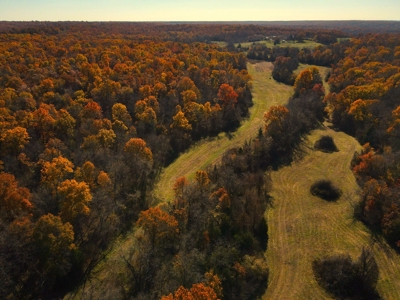 Land for Sale Stockton MO - image 18