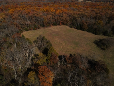 Land for Sale Stockton MO - image 16