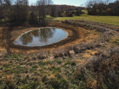 Land for Sale Stockton MO - image 6