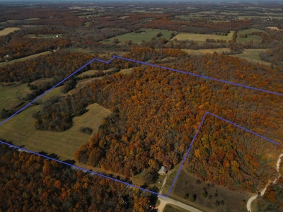 Land for Sale Stockton MO - image 9