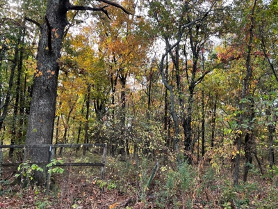 Home and 3+/- Acres in Alton Missouri - image 8