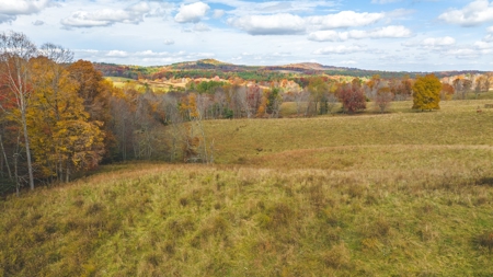 Offering #1 Farmland for Sale at Auction in Floyd VA - image 13