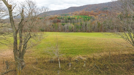 Offering #1 Farmland for Sale at Auction in Floyd VA - image 21