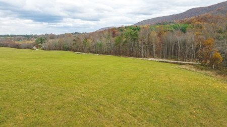 Offering #1 Farmland for Sale at Auction in Floyd VA - image 26