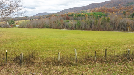 Offering #1 Farmland for Sale at Auction in Floyd VA - image 24