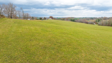 Offering #1 Farmland for Sale at Auction in Floyd VA - image 27