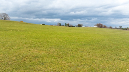 Offering #1 Farmland for Sale at Auction in Floyd VA - image 29