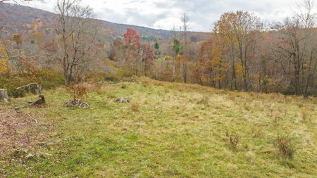 Offering #1 Farmland for Sale at Auction in Floyd VA - image 22