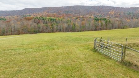 Offering #1 Farmland for Sale at Auction in Floyd VA - image 18