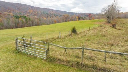 Offering #1 Farmland for Sale at Auction in Floyd VA - image 17