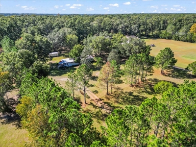 Single Family Home in High Springs Florida - image 28