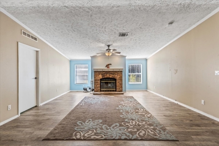 Single Family Home in High Springs Florida - image 8