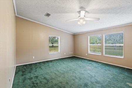 Single Family Home in High Springs Florida - image 7
