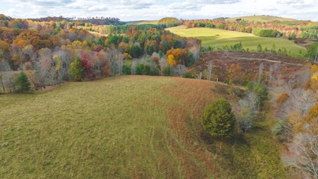 Offering #2 Country Home with Acreage for Sale in Floyd VA - image 13