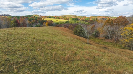 Offering #2 Country Home with Acreage for Sale in Floyd VA - image 15