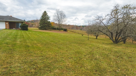 Offering #2 Country Home with Acreage for Sale in Floyd VA - image 20