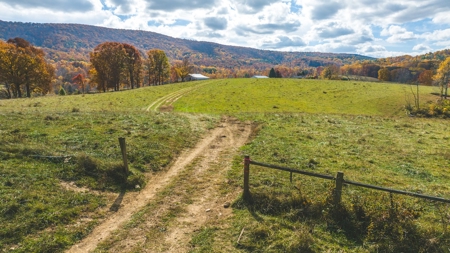 Offering #3 Large Farm Tract for Sale at Auction in Floyd VA - image 13
