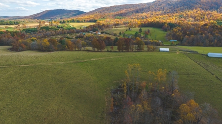 Offering #3 Large Farm Tract for Sale at Auction in Floyd VA - image 4