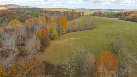 Offering #3 Large Farm Tract for Sale at Auction in Floyd VA - image 1