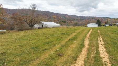 Offering #3 Large Farm Tract for Sale at Auction in Floyd VA - image 21