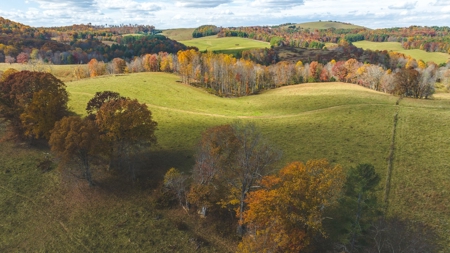 Offering #3 Large Farm Tract for Sale at Auction in Floyd VA - image 12
