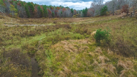 Offering #3 Large Farm Tract for Sale at Auction in Floyd VA - image 17