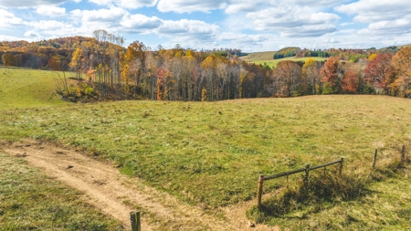 Offering #3 Large Farm Tract for Sale at Auction in Floyd VA - image 14
